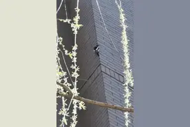 当当当！北京一小区深夜听到“诡异”噪音，真相原来是……图片