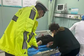 果然视频丨八旬老人田里摘菜被蛇咬伤 青岛交警全力护航送医图片