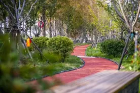 从一穷二白起家，上海一个土窝窝村的突围之路图片