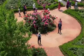 时间紧任务重！各位“特种兵”，五一游云南的正确“姿势”请速速查收！图片