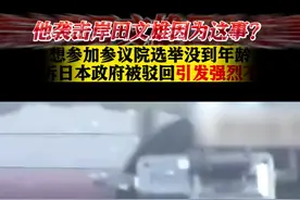 他袭击岸田因为这事？作案前行踪进一步曝光！图片