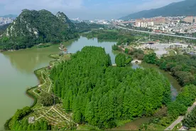 肇庆这个旅游目的地也太宝藏了吧！赶紧藏好，五一就能用上~图片