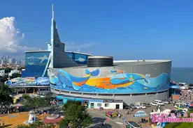 青岛马拉松即将开跑 运动员可半价游青岛极地海洋公园图片