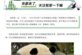 成都大熊猫基地通报：女子向大熊猫泼水被禁止参观1年图片