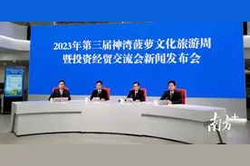 亮点纷呈！第三届神湾菠萝文旅周本月29日开幕图片