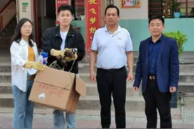 罗山校园飞来长尾巴“大鸟”图片