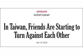 龙应台：大陆不开一枪，岛内已经分裂图片