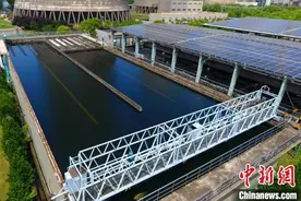 【绿色中国】探路循环经济 “浙”个火电厂变身“绿电厂”图片