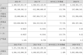 长江健康：2022年盈利6519.04万元 同比扭亏图片