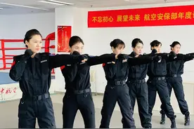 空中火凤凰：飞行安全的幕后英雄图片