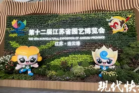 逛园子、登高楼、露营，解锁第十二届江苏省园博会新玩法图片