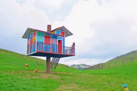 仰天湖大草原今日揭开“面纱” 很青翠！图片