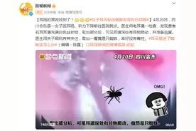 耳鸣的原因找到了！女子耳内钻进蜘蛛发现时已结网图片