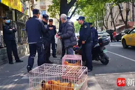 小区内饲养大量活鸡，南京建邺城管依法取缔图片