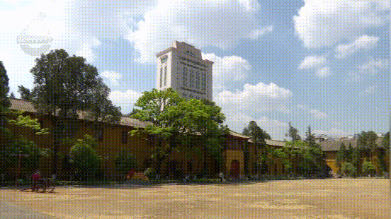 好消息！“五一”期间，昆明16家A级景区免费开放图片