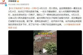 女子乘奔驰下乡顺走一只鸭子 因涉嫌盗窃已被警方依法处理图片