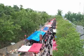 民俗文化、非遗展示、地方特产……曲阜市九仙山“三月三”庙会开幕啦图片