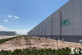 一个鹿茸菇超级“梦工厂”  带动26个村庄同走食用菌致富路图片