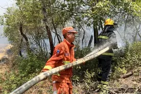 “我去救火，别告诉你弟！”“我去救火，别告诉咱爸！”图片