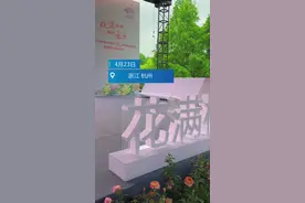 首届杭州市月季花展盛大开幕！快来感受满城花海图片