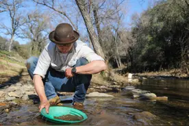 美媒：暴雨带来“洪水黄金”，加州重现淘金热图片