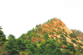 北武当山“三月三”春游庙会吸引四面八方的游客图片