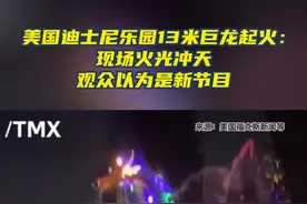 美国迪士尼乐园13米巨龙起火：现场火光冲天 观众以为是新节目图片