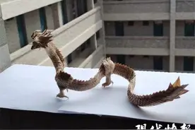 5个月、1400个鳞片，大三男生用纸折出“龙神”图片