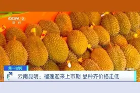 一公斤狂降30元，榴莲价格腰斩！网友期待：国产也即将上市……图片