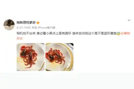 剧毒蓝环章鱼再上热搜！那些世界最毒最致命的生物还有它们图片