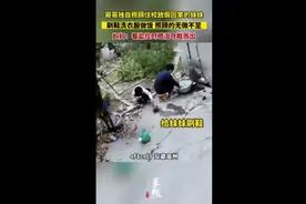 父母不在家，哥哥独自照顾住校放假回家的妹妹，洗衣做饭无微不至图片