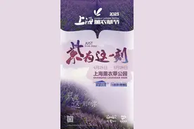 2023上海薰衣草节全线升级啦！图片