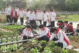 天长市开心“小菜园”变身学生劳动“大课堂”图片