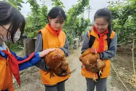 做塌饼、摘青菜、磨豆浆……这个学校的孩子们“跟着劳模去学农”图片