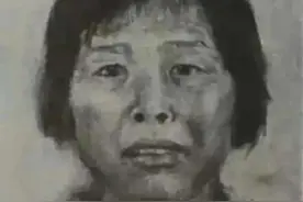 “梅姨”被抓了？“梅姨”是谁？图片