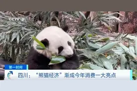 一只玩偶卖到上千元，还供不应求！相关酒店预订量暴增320%！它，居然这么火！图片