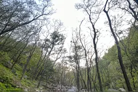 泰山第五条登山线东御道4月26日开放，未央湖等美景抢鲜看图片