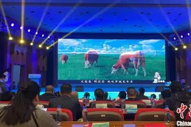 观苍狼、驰沃野：天边草原乌拉盖走出草原作推介图片