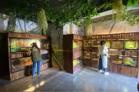 又到“蛇出没”季！昆明市民遇到蛇怎么办，专业人士为你支招→图片