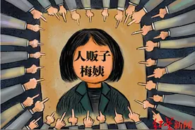 红星独家丨“梅姨落网”，真相还是乌龙？图片