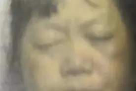 网传“梅姨落网”！警方回应！图片