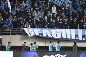 （体育）足球——中超：大连人平成都蓉城(2)图片