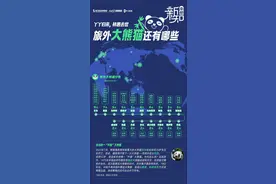 丫丫归来、林惠去世，旅外大熊猫还有多少？今年将回国的还有谁图片
