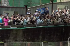 大美重庆·就在家门口丨这个“五一”，总要来看熊猫天团“四喜丸子”吧图片