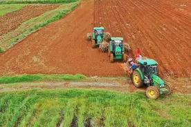 南宁糖业迎“开门红” 一季度利润同比增长118%图片