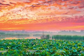 果然视频|倒计时！距离聊城半程马拉松开赛还有2天！图片