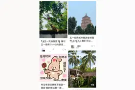 “你住我家，我睡你床”，这届年轻人玩起了“交换旅游”，靠谱吗？图片