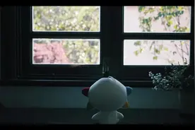 视频丨春光明媚 万事可期 莫负云南好春光图片