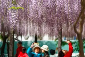 非预约，勿前往！玉渊潭公园推出“五一”游园四条线路图片