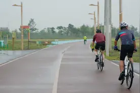 环城“粮仓”迎丰收 五一骑行看麦浪图片